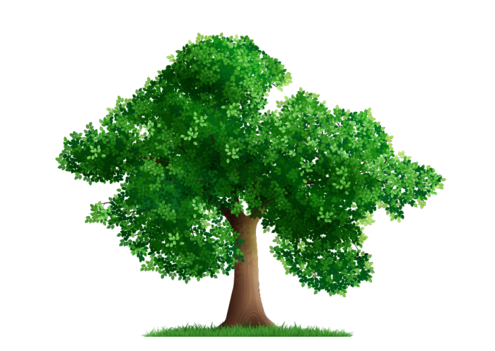 Tree 01 e1651138752366
